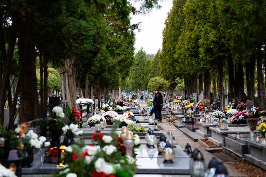 DSC00261.JPG DSC00261.JPG