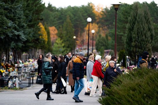 DSC00291.JPG DSC00291.JPG