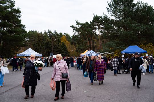 DSC00296.JPG DSC00296.JPG