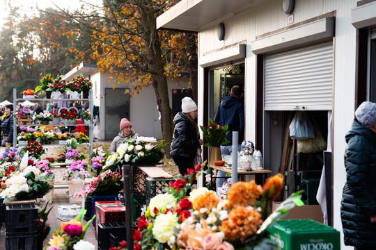 DSC00309.JPG DSC00309.JPG