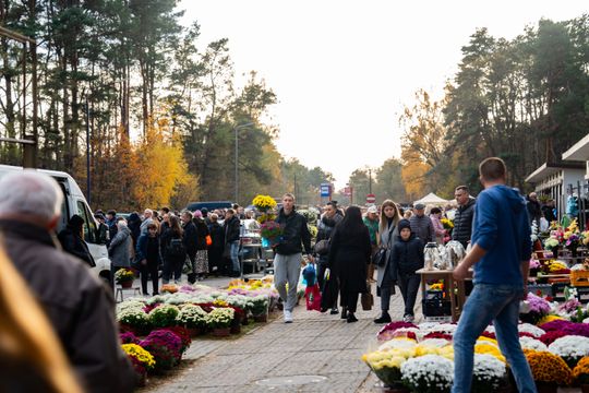 DSC00311.JPG DSC00311.JPG