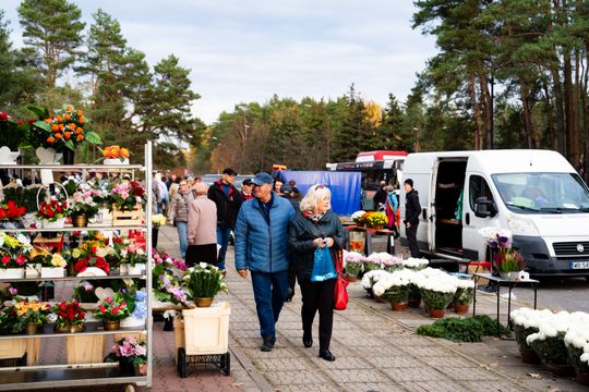 DSC00312.JPG DSC00312.JPG