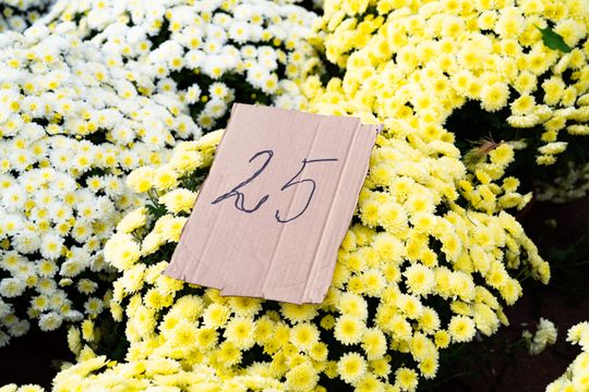 DSC00317.JPG DSC00317.JPG