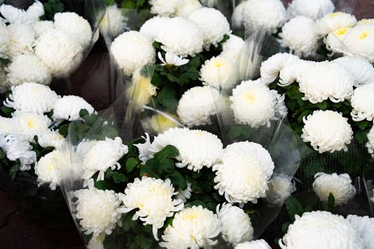 DSC00319.JPG DSC00319.JPG