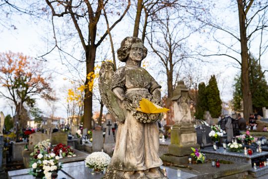 DSC00362.JPG DSC00362.JPG