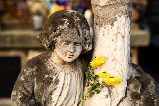 DSC00367.JPG DSC00367.JPG