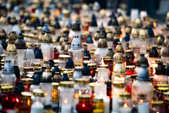 DSC00378.JPG DSC00378.JPG