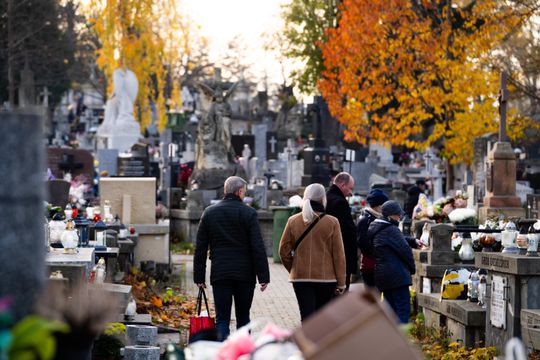 DSC00390.JPG DSC00390.JPG