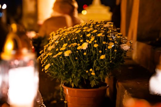 DSC00470.JPG DSC00470.JPG