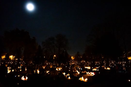 DSC00475.JPG DSC00475.JPG