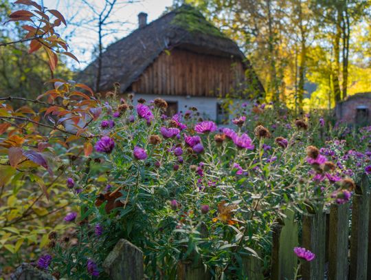 Muzeum Wsi Radomskiej