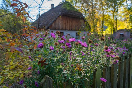 Muzeum Wsi Radomskiej