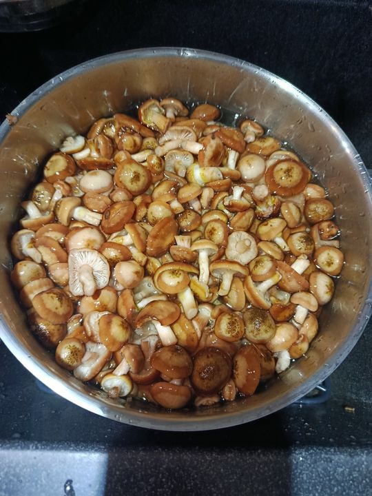 Grzybobranie w Radomskiem. Okolice Pionek