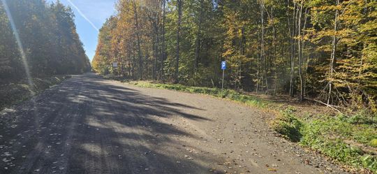 Królewski Gościniec w Puszczy Kozienickiej