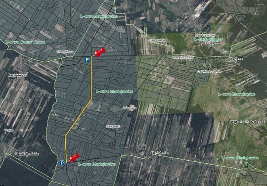 Królewski Gościniec w Puszczy Kozienickiej