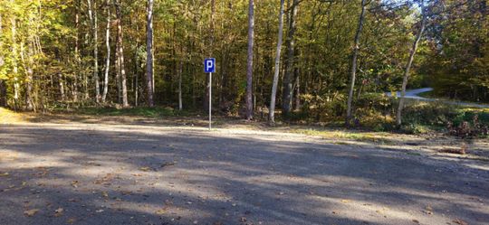 Królewski Gościniec w Puszczy Kozienickiej