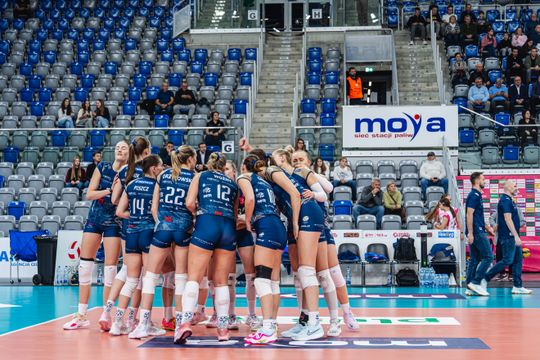 radomka - ecoharpoon-2.jpg