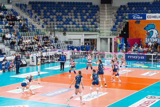 radomka - ecoharpoon-49.jpg