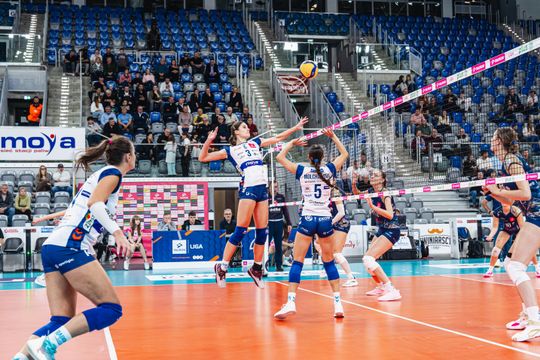 radomka - ecoharpoon-67.jpg