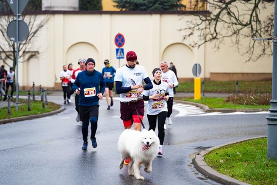 XIII Radomski Bieg Niepodległości (zdjęcia)