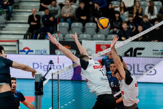 Pierrot Czarni Radom - CUK Anioły Toruń (zdjęcia)