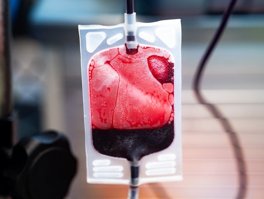 Zbiórka krwi dla małej Mai (zdjęcia)