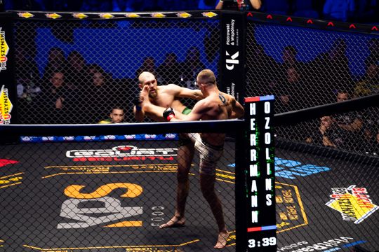 KPS Food & Elmas Babilon MMA 55 (zdjęcia)