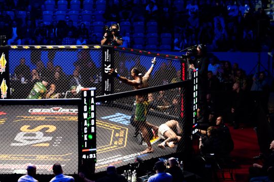 KPS Food & Elmas Babilon MMA 55 (zdjęcia)