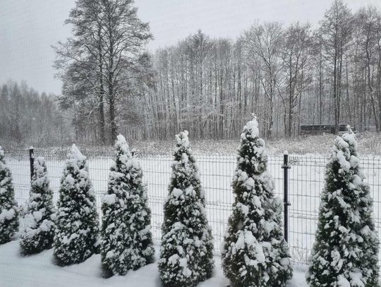 Zima w Radomiu i regionie radomskim