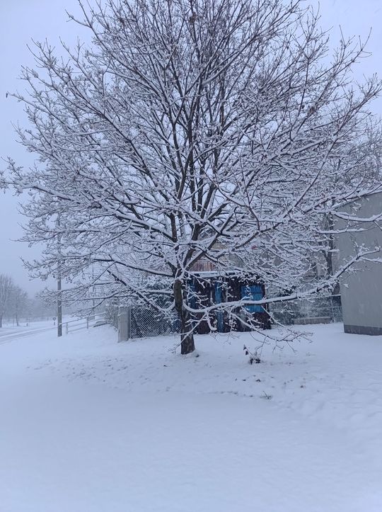 Zima w Radomiu i regionie radomskim