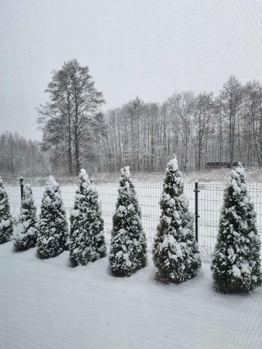 Zima w Radomiu i regionie radomskim
