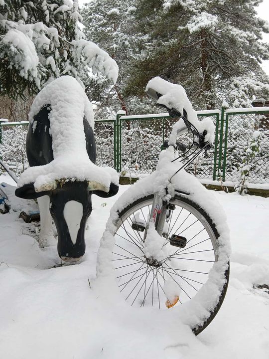 Zima w Radomiu i regionie radomskim