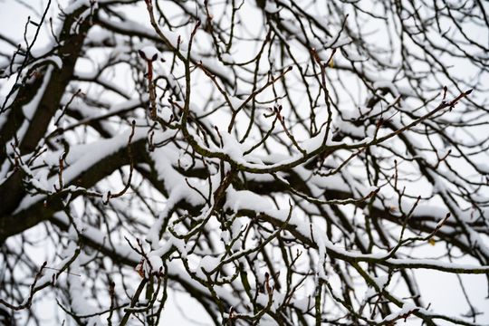 Zimowa niedziela w Radomiu (zdjęcia)