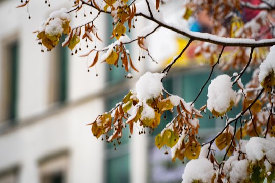 Zimowa niedziela w Radomiu (zdjęcia)