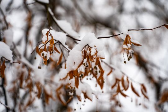 Zimowa niedziela w Radomiu (zdjęcia)
