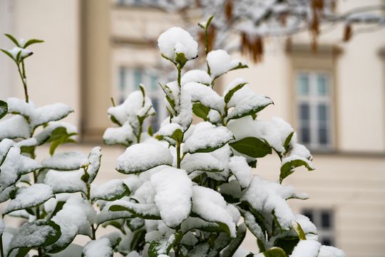 Zimowa niedziela w Radomiu (zdjęcia)