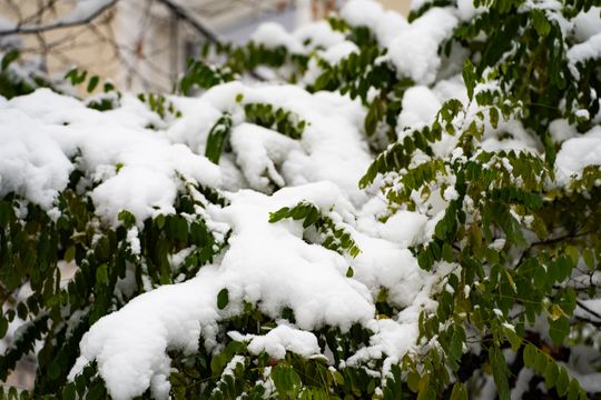 Zimowa niedziela w Radomiu (zdjęcia)