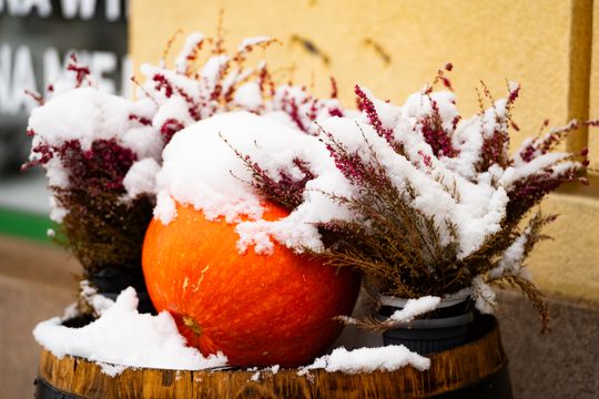 Zimowa niedziela w Radomiu (zdjęcia)