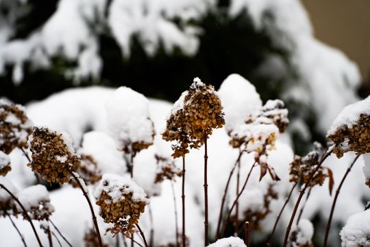 Zimowa niedziela w Radomiu (zdjęcia)