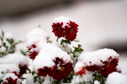 Zimowa niedziela w Radomiu (zdjęcia)