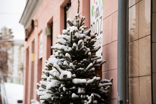 Zimowa niedziela w Radomiu (zdjęcia)