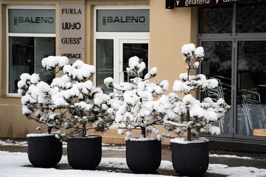 Zimowa niedziela w Radomiu (zdjęcia)