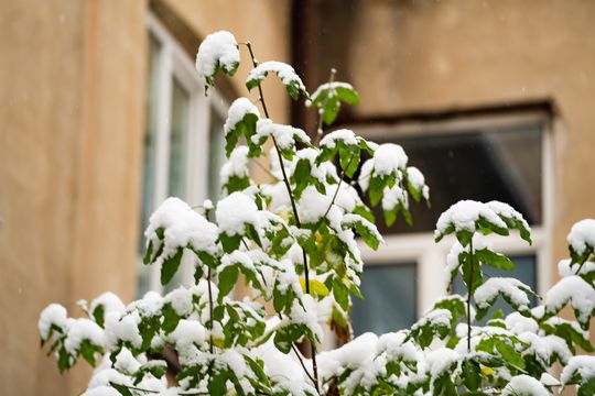 Zimowa niedziela w Radomiu (zdjęcia)
