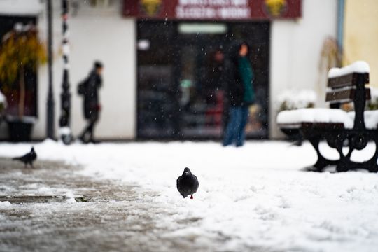 Zimowa niedziela w Radomiu (zdjęcia)