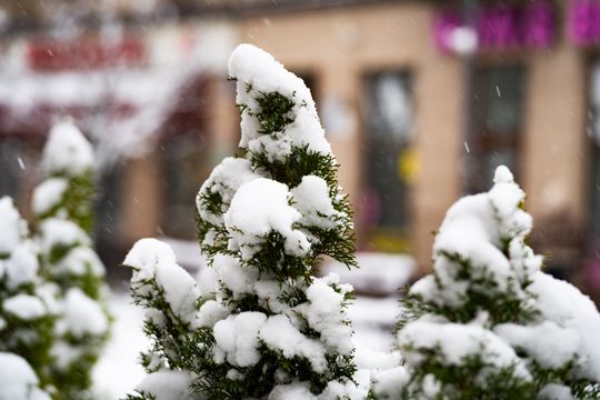 Zimowa niedziela w Radomiu (zdjęcia)