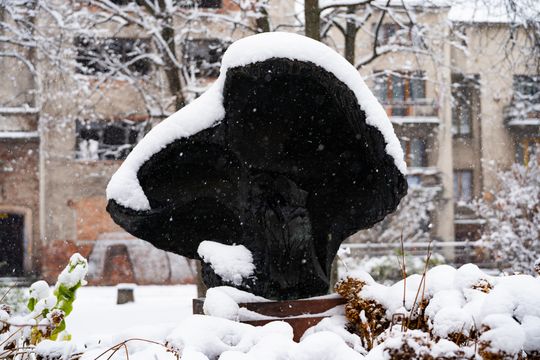 Zimowa niedziela w Radomiu (zdjęcia)