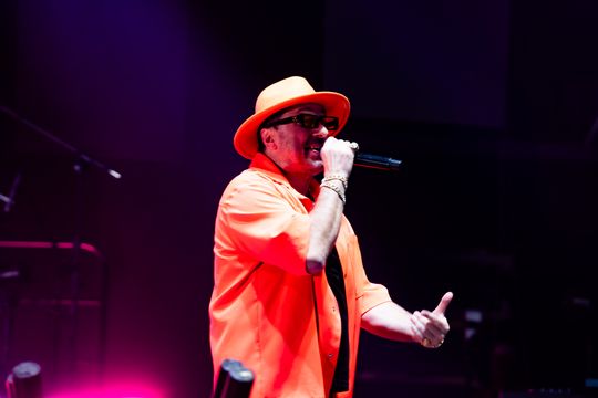 Andrzejkowa Gala Gwiazd - 30-lecie Jacka Stachurskiego (zdjęcia)