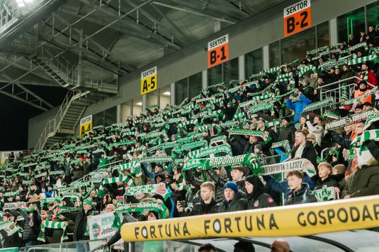 Kibice podczas meczu Radomiak Radom - Górnik Zabrze (zdjęcia)