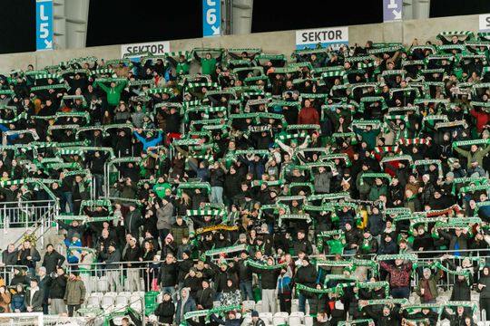 Kibice podczas meczu Radomiak Radom - Górnik Zabrze (zdjęcia)