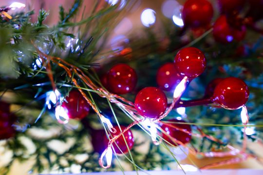 Mikołajki w Radomskich Halach Mięsnych (zdjęcia)